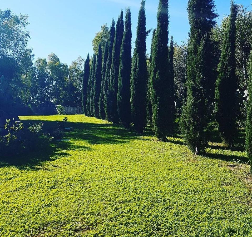 Apartamento Il Piccolo Borgo Montalto di Castro Exterior foto