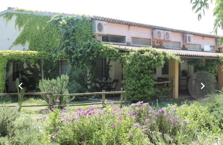 Apartamento Il Piccolo Borgo Montalto di Castro Exterior foto