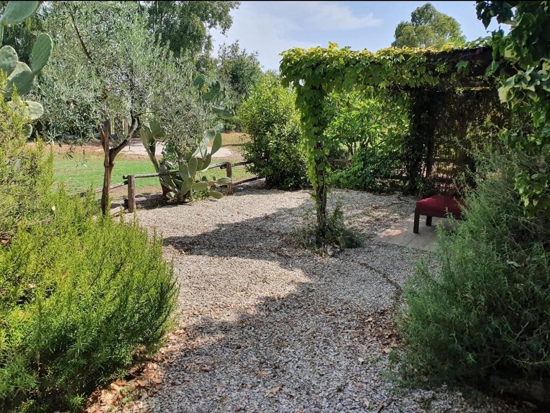 Apartamento Il Piccolo Borgo Montalto di Castro Exterior foto