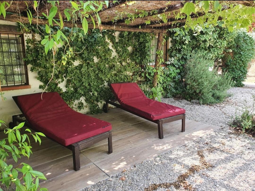 Apartamento Il Piccolo Borgo Montalto di Castro Exterior foto
